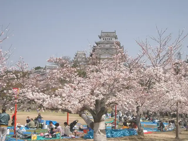 Japón, Japón